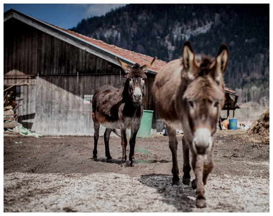 Schleifmühle Hochzeit meho-photodesign_15